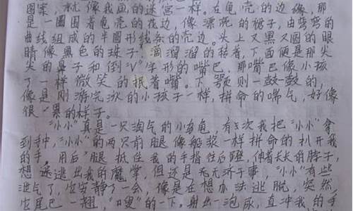 寫家鄉(xiāng)的作文如何體現(xiàn)地域特色？