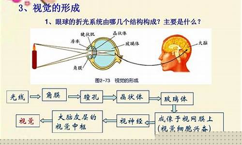 眼睛的結(jié)構(gòu)和成像原理是怎樣的？