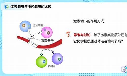 體液調(diào)節(jié)的概念、激素調(diào)節(jié)的特點(diǎn)及實(shí)例分析（如血糖調(diào)節(jié)、甲狀腺激素調(diào)節(jié)等）？