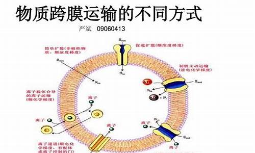 生物膜結(jié)構(gòu)功能與運(yùn)輸：高中生物膜知識(shí)