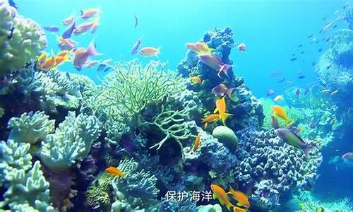 海洋有哪些資源？