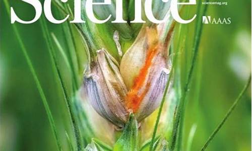 國際上著名的科學(xué)期刊有哪些？