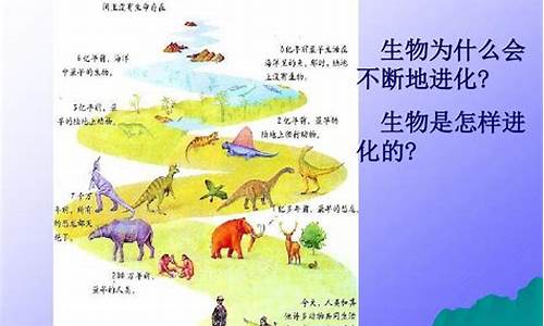 現(xiàn)代生物進化理論內(nèi)容：高中生物進化知識