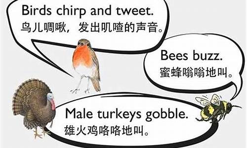 如何用英語(yǔ)描述動(dòng)物的特征和習(xí)性？