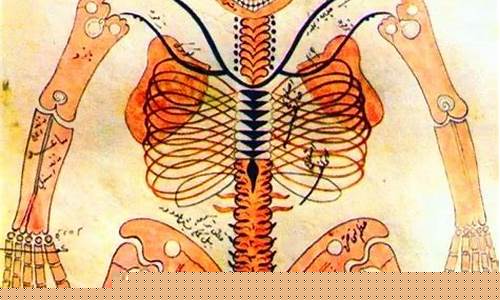 阿拉伯文化在醫(yī)學領(lǐng)域的貢獻？