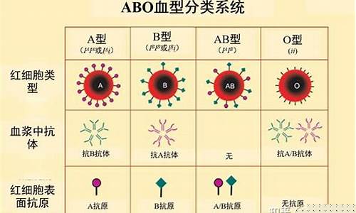 血型有哪些分類及輸血原則？