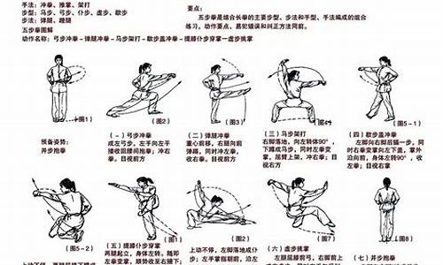 武術(shù)的基本招式和套路有哪些？
