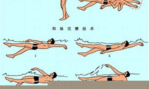 游泳的仰泳呼吸技巧？