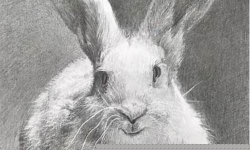 如何進(jìn)行動物素描的形態(tài)把握？