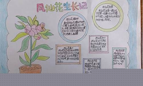二年級孩子對植物知識不熟悉怎么辦？