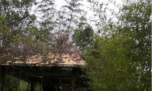 六年級(jí)孩子如何提高學(xué)習(xí)效率？
