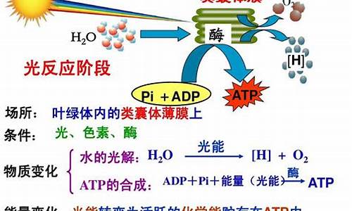 高一生物光合作用和呼吸作用的聯(lián)系與區(qū)別是什么？