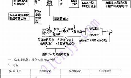 高三生物基因表達的過程？