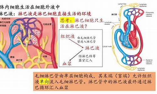 高三生物人體的內(nèi)環(huán)境穩(wěn)態(tài)？