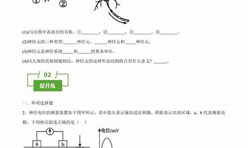 高二生物神經(jīng)調(diào)節(jié)的過程？