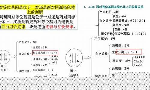 高三生物遺傳規(guī)律怎么學(xué)？