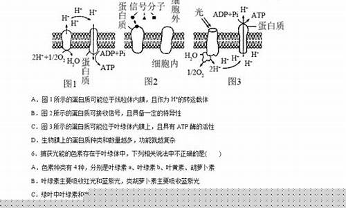 高三生物光合作用考點？