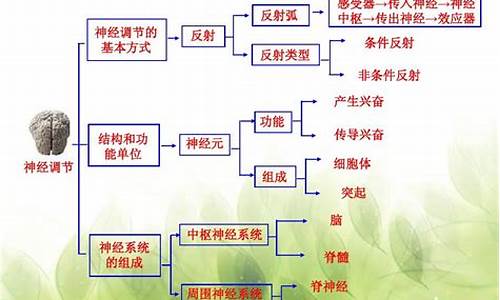 高考生物神經(jīng)調(diào)節(jié)知識(shí)點(diǎn)？