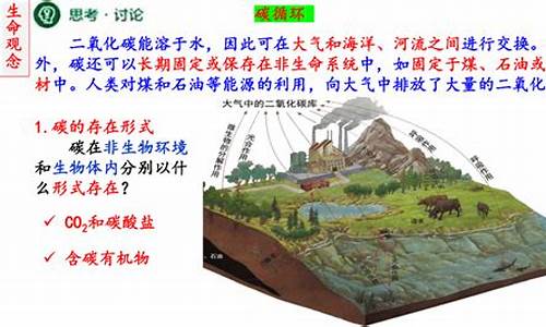 高三生物生態(tài)系統(tǒng)的結(jié)構(gòu)？