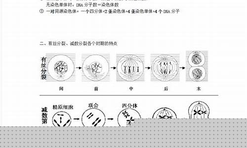 高三生物有絲分裂和減數(shù)分裂對(duì)比？