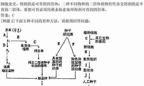 高考生物遺傳規(guī)律有哪些？