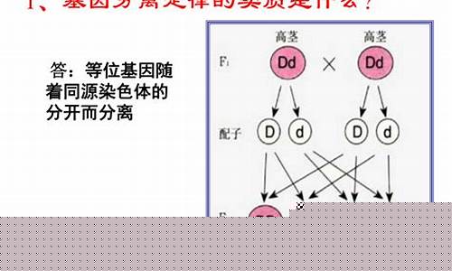 高二生物基因自由組合定律的應(yīng)用？