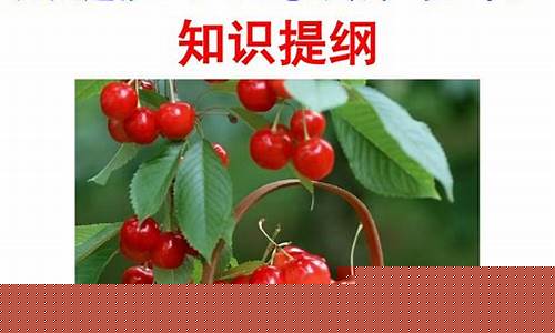 高三歷史戰(zhàn)爭(zhēng)與和平的影響？