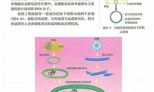 高二生物基因工程的步驟？