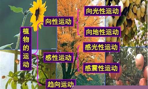 高三生物植物激素的調(diào)節(jié)？