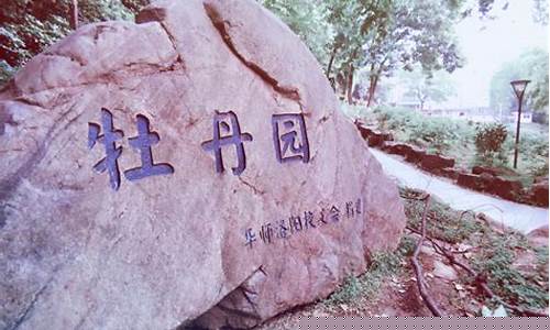 大學(xué)單身的人多嗎？