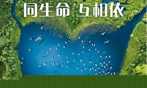 保護(hù)濕地如何助力地球呼吸？