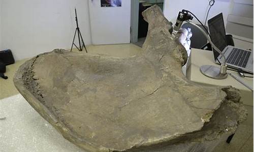 12萬5000年后，男人是否會從地球上消失，僅剩女性？