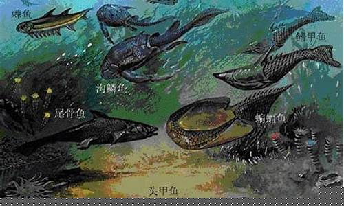 探尋何為最古老的陸地植物？