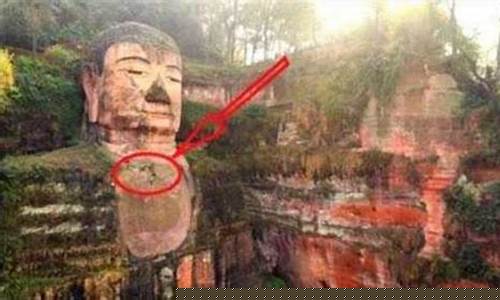 專(zhuān)家如何破解樂(lè)山大佛遭受生物侵害的謎團(tuán)？