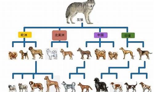 狗類族譜的祖先究竟是什么？