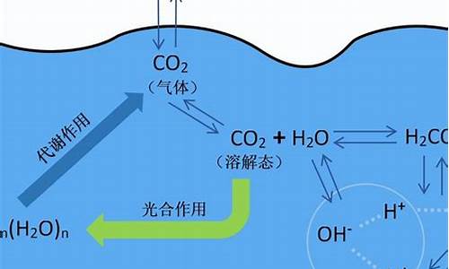 海水如何實(shí)現(xiàn)二氧化碳的冷藏效果？