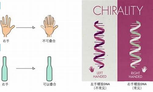 人體器官不對(duì)稱(chēng)之謎：醫(yī)學(xué)研究發(fā)現(xiàn)其中的美學(xué)秘密是什么？