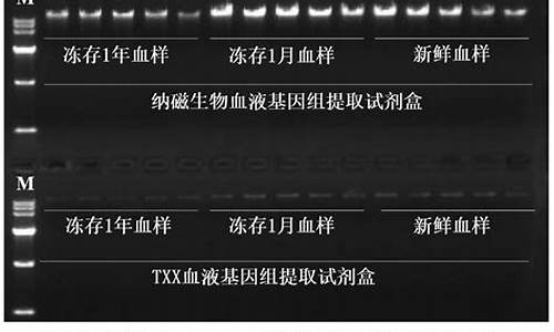 DNA檢測(cè)技術(shù)在東北虎優(yōu)生中扮演什么角色？