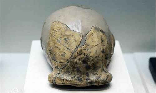 北京人頭蓋骨化石首次公開展覽，真品是否終于回家？