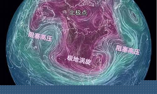 噴雙股水柱的北極露脊鯨是什么動物？