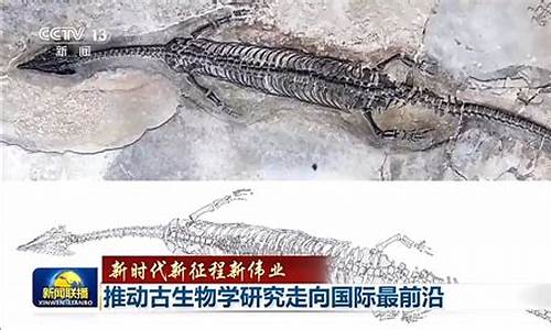 我國(guó)古生物研究為何受到國(guó)際學(xué)術(shù)界的廣泛關(guān)注？
