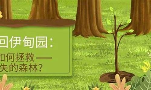 大規(guī)模消失的森林，問(wèn)題在哪里？