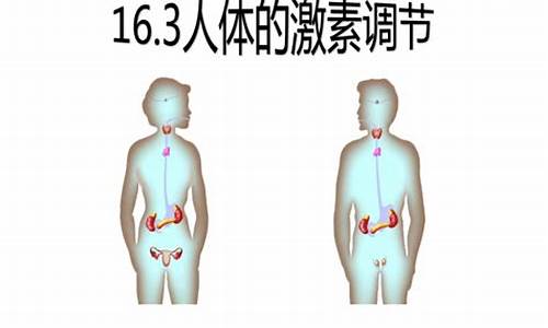 人體激素抗拒額外體重變化，減肥真的很難嗎？