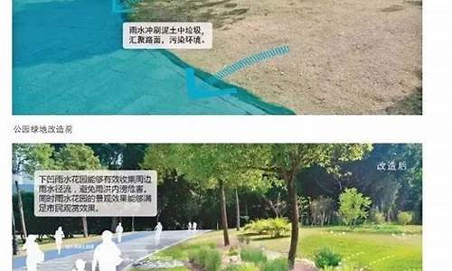 海綿城市如何實(shí)現(xiàn)更綠色、更環(huán)保？