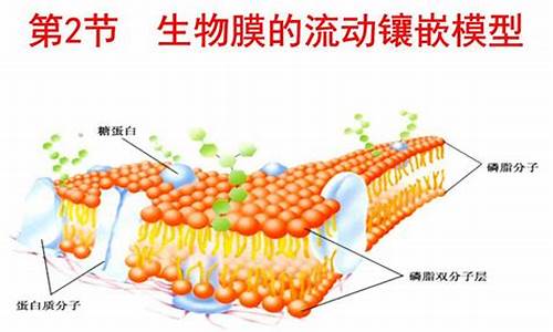 膜蛋白研究領(lǐng)域有哪些新技術(shù)？
