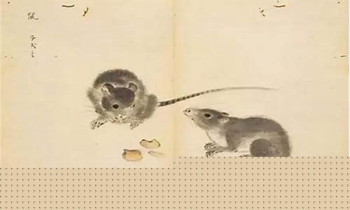 碩鼠是如何成為出色的“排雷工兵”的？