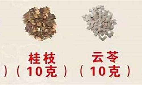 八個(gè)藥方能治愈悲傷嗎？