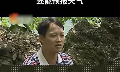 這泉水為何能預(yù)報(bào)天氣？