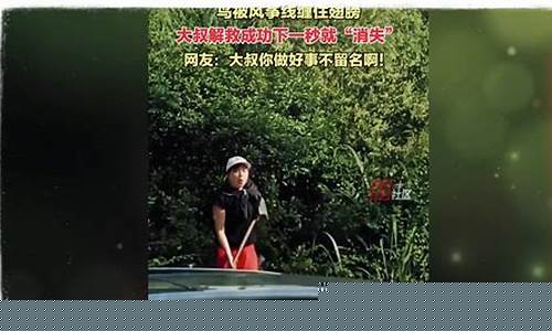 消防隊如何救下被風箏線纏住的小鳥？