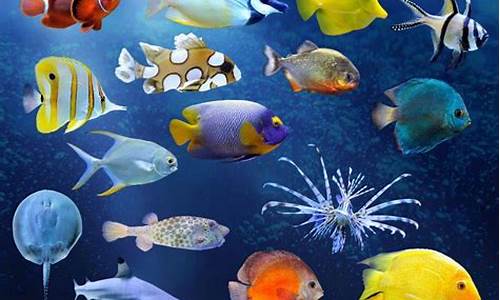 魚類是否是地球上最早使用語言的生物？